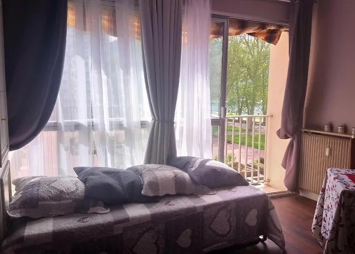 Residence Albigny Studio Vue Sur Lac Centre-Ville D\'Annecy